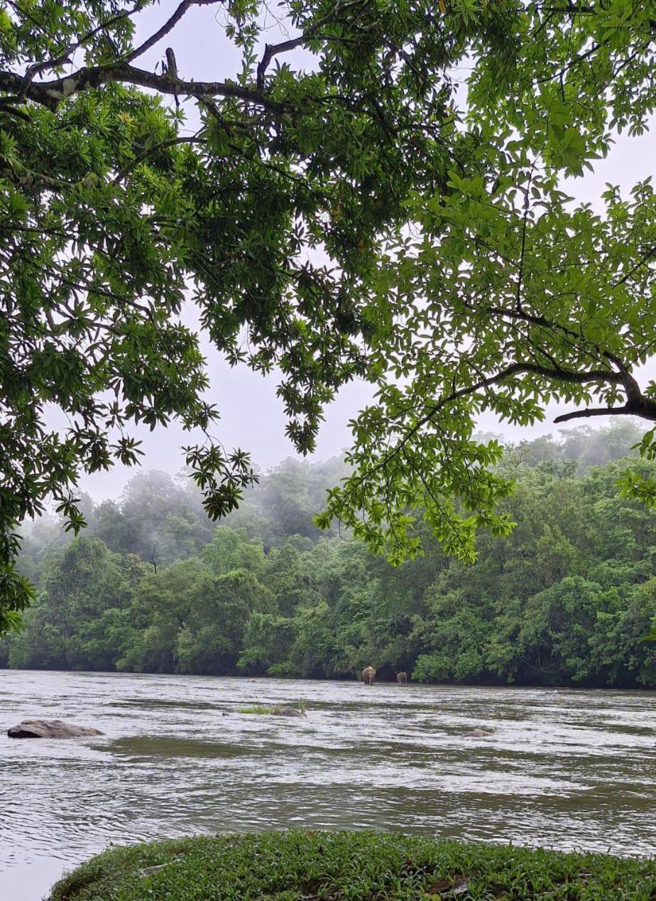 Falcon Riverview Resorts Kuttampuzha Esterno foto